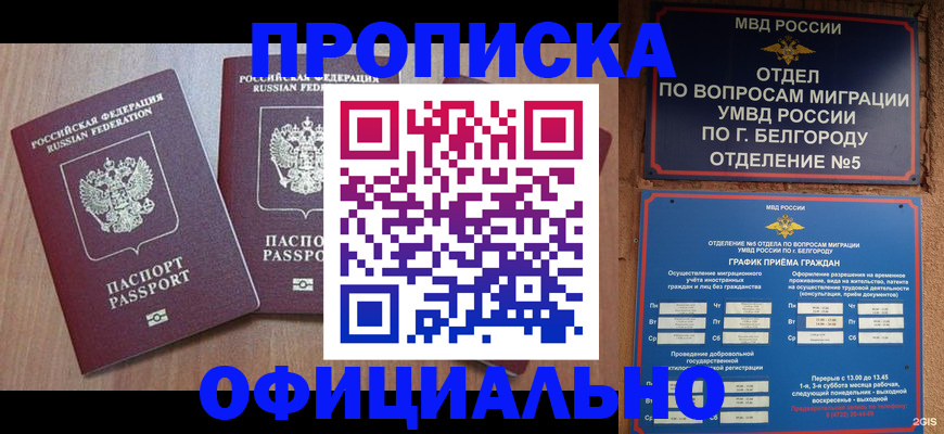 найти адрес прописки в Каргате